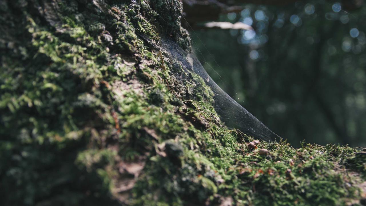 本周值得关注的 5 条游戏行业新闻